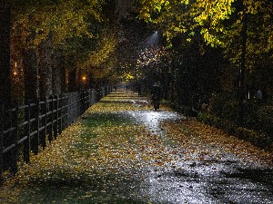 Ноћне променаде