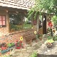 Лепоте Кукавице, чист ваздух, вода, дарови природе – али и пропали макадмаски пут