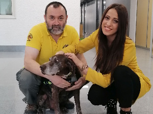 РТС Лаб: Животиње и човек