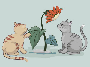  Добро јутро децо: Други утисци и опажања 