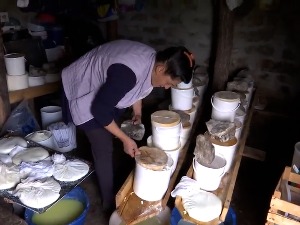 Зашто је све теже пронаћи сјенички сир