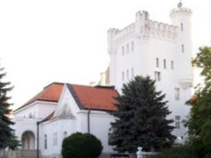 Дворци Војводине: Богданов салаш, 4-7