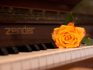 Жене у музици – Витјеслава Капралова