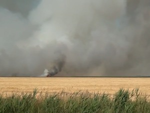 Кикинда, ватра захватила 30 хектара пољопривредног земљишта под пшеницом