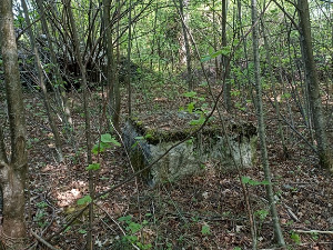 Дан сећања на Јадовно