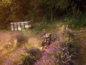 Како робот Спасоје штеди време и новац, и зашто су га баш тако крстили