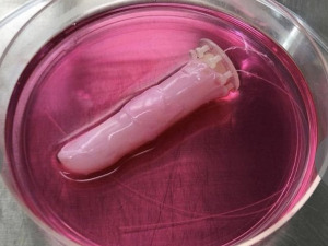 Јапан: Велики корак ка стварању хибрида машина и људи