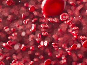 Научници затечени открићем да ћелије крви настају из два различита извора