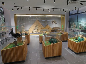 Отворен Природњачки центар у Овчар бањи – шта посетиоци могу да науче