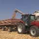 Жетва пшенице одмиче, почео откуп – прве анализе обећавају квалитетан род, а шта је са ценом