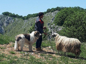 Приступачан програм: Квадратура круга - Номади са Влашића (СЗЈ)