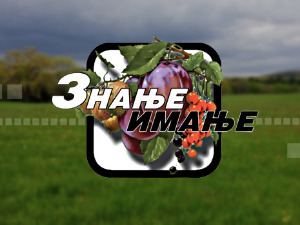 Знање имање: Природа као инспирација