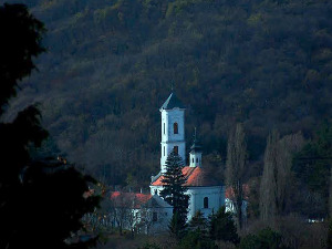 Пупин у манастиру Врдник
