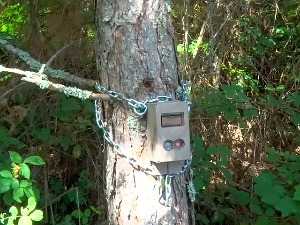 Деветогодишњи Слободан летње јутрење са оцем почиње у шуми