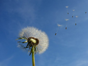  Добро јутро децо: Волети ветар 