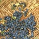 Просечан род јечма и пшенице, добро родили вишња и боровница
