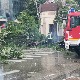 Vetar u Nišu obarao stabla, RHMZ izdao upozorenje za istok, jugoistok i jugozapad Srbije