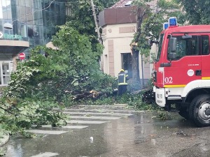 Ветар у Нишу обарао стабла, РХМЗ издао упозорење за исток, југоисток и југозапад Србије