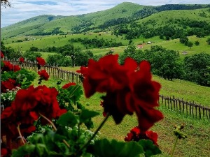 Фотографија Златибора овонедељни победник конкурса "Наша  најлепша Србија"