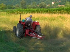 Коме је најтеже под ведрим небом на високим температурама?