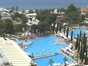 Сеничић: Туристи безбедни у Египту, поштовати правила - не изазивати ајкуле