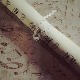 Избор за топ-листу класичне музике Радио Београда 2