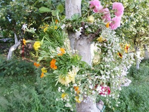 На Ивањдан се беру лековите траве и плету венци од цвећа