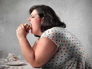 Приручник за неупућене: Гојазност