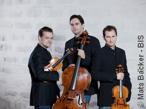 Уметност интерпретације – Трио Цимерман