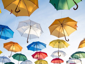  Добро јутро децо: Кишобраћај 