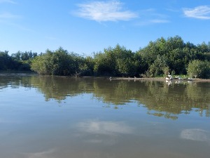 Двојица младића нестала у Сави код Владимираца