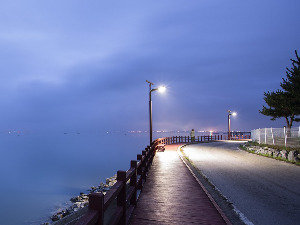 Ноћне променаде