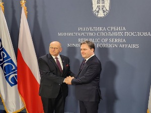 Селаковић: Србија се залаже за јачање капацитета ОЕБС-а