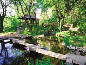 Београдско благо - Ботаничка башта Јевремовац