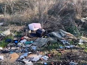 Сузбијање еколошког криминала, тровачи природе под лупом полиције