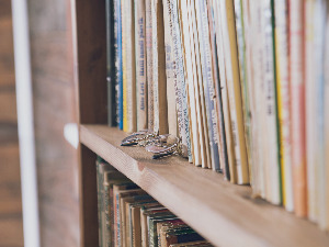 Књиге из бивше Југославије у Бечу