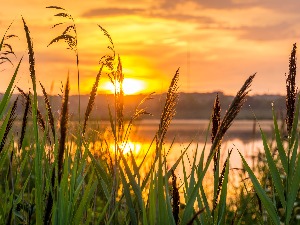 Ритам раног јутра