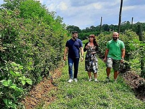  Знање имање- 26.6.2022.