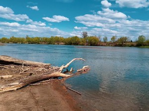 Хидролог: Постоје индиције да би ово могла бити најсушнија година, водостај близу биолошког минимума