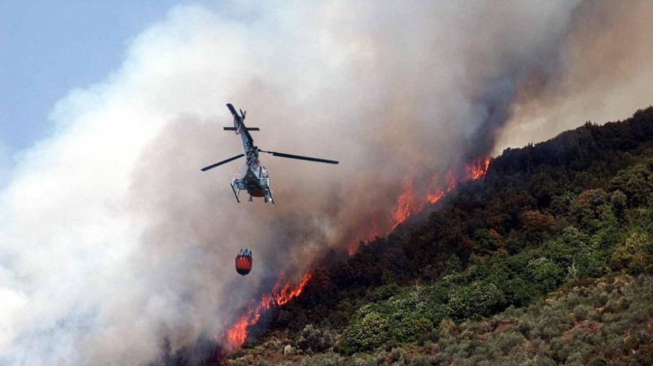 Букте пожари широм Европе – врели талас се наставља, Португалија се топи на рекордних 47 степени