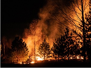 Нема игре са ватром, човек одговоран за 99 одсто пожара - ватрогасци саветују како да се понашамо