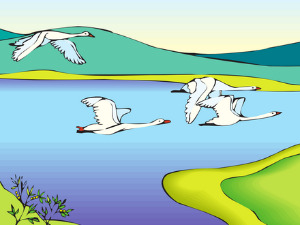  Добро јутро децо: Гусан гњавеж 