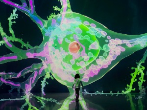 Научници на прагу открића тајне људске свести