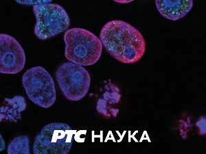 Траг у простору:	 Нити од снова – накит