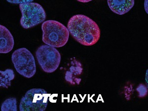 Благо из дубина, благо земље:	 Кикинда – глина, пети елемент