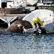Несвесна своје тежине, млада женка моржа потапа чамце у Ослу