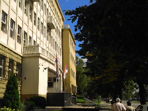 Тужилаштво тражи притвор за Душка Шарића