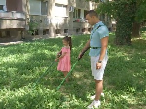 Амброзер, изум професора Станковића ефикасан у борби против амброзије