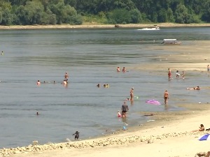 Пешке преко реке – дуготрајна суша и високе температуре утицале на пад водостаја 