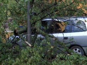Олујно невреме у већем делу Србије – ветар односио кровове и чупао дрвеће и билборде